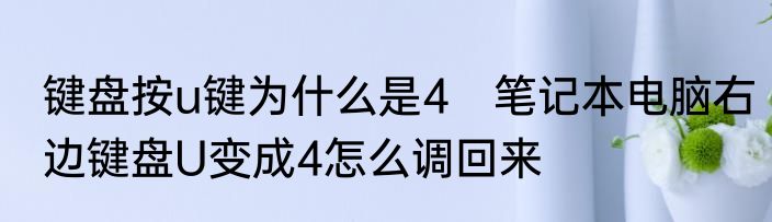 键盘按u键为什么是4　笔记本电脑右边键盘U变成4怎么调回来