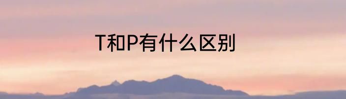 T和P有什么区别