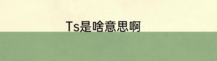 Ts是啥意思啊