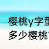 樱桃y字型树形丰产吗　一亩地可以种多少樱桃?一亩地可以种多少樱桃