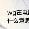 wg在电路中代表什么意思　G·W是什么意思