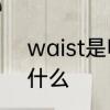 waist是哪个部位尺寸　腰围单位是什么