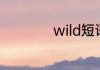 wild短语和固定搭配