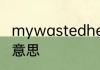 mywastedheartwillloveyou是什么意思