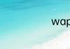 wap通俗解释