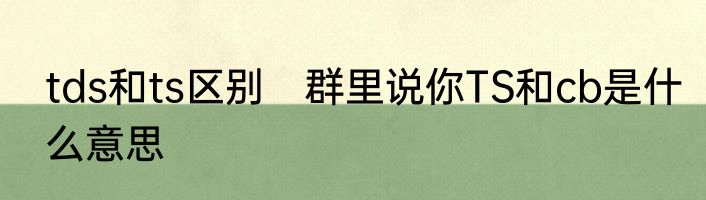 tds和ts区别　群里说你TS和cb是什么意思