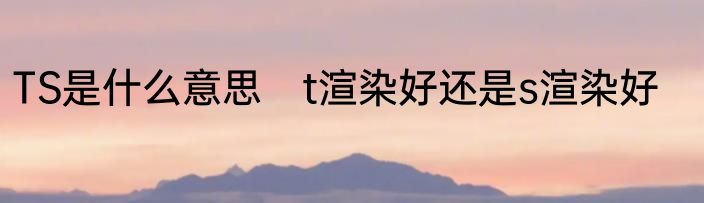 TS是什么意思　t渲染好还是s渲染好