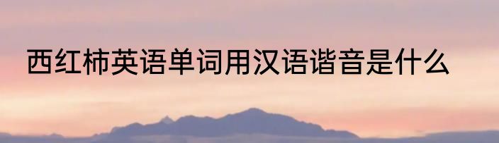 西红柿英语单词用汉语谐音是什么