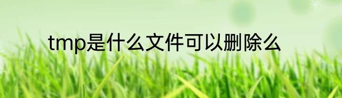 tmp是什么文件可以删除么