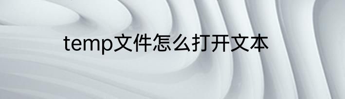 temp文件怎么打开文本