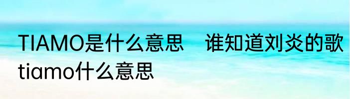 TIAMO是什么意思　谁知道刘炎的歌tiamo什么意思