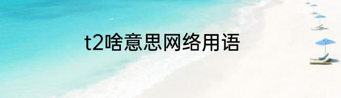 t2啥意思网络用语