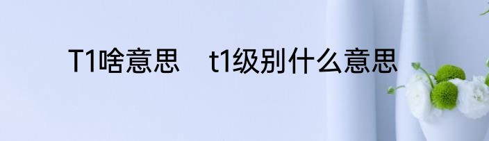 T1啥意思　t1级别什么意思