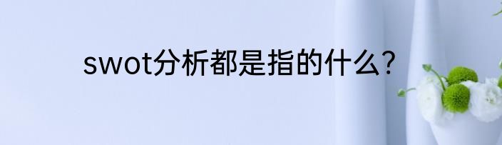 swot分析都是指的什么?
