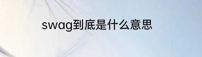 swag到底是什么意思