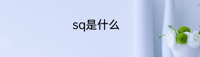 sq是什么