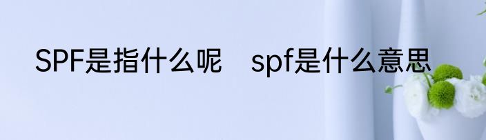 SPF是指什么呢　spf是什么意思
