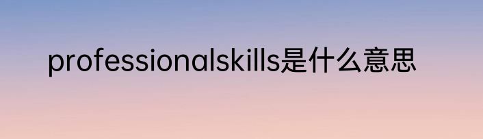 professionalskills是什么意思