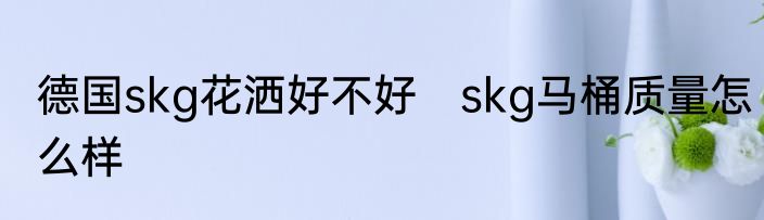 德国skg花洒好不好　skg马桶质量怎么样