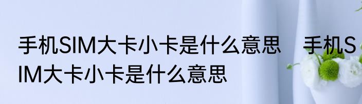 手机SIM大卡小卡是什么意思　手机SIM大卡小卡是什么意思