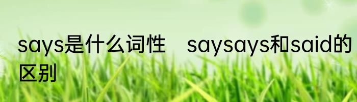 says是什么词性　saysays和said的区别