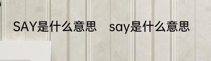 SAY是什么意思　say是什么意思