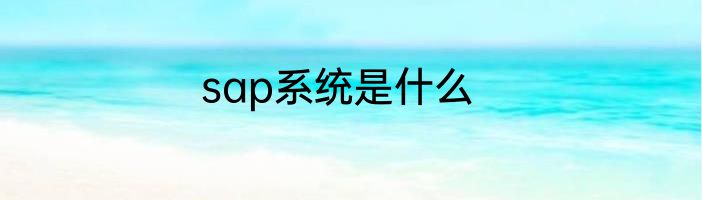 sap系统是什么