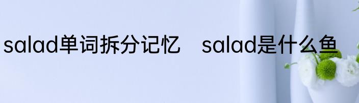 salad单词拆分记忆　salad是什么鱼