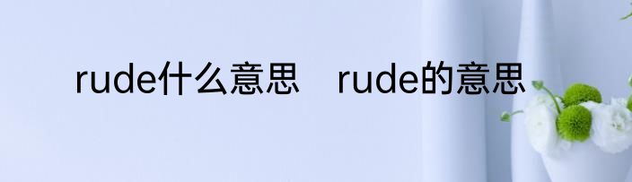 rude什么意思　rude的意思