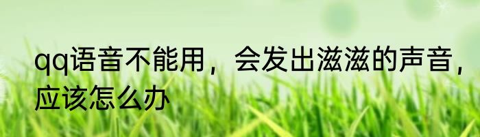 qq语音不能用，会发出滋滋的声音，应该怎么办