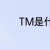 TM是什么意思　tm什么意思