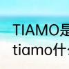 TIAMO是什么意思　谁知道刘炎的歌tiamo什么意思