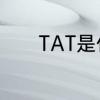 TAT是什么意思　什么是TAT