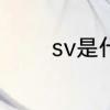 sv是什么符号　sv网是什么
