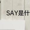 SAY是什么意思　say是什么意思