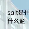 salt是什么意思及反义词　salt盐是什么盐