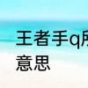 王者手q所有区的名字　网名Q是什么意思