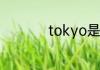 tokyo是什么牌子轮胎