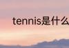 tennis是什么球　tennis怎么样