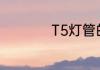 T5灯管的尺寸是多少