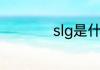 slg是什么游戏的简称