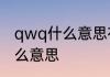 qwq什么意思在游戏里　“qwq”是什么意思