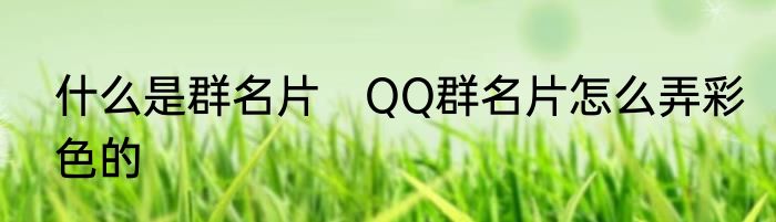 什么是群名片　QQ群名片怎么弄彩色的