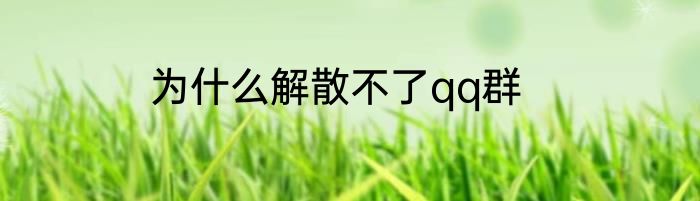 为什么解散不了qq群