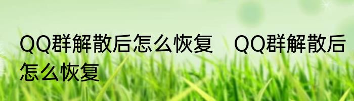 QQ群解散后怎么恢复　QQ群解散后怎么恢复