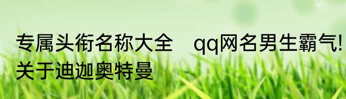 专属头衔名称大全　qq网名男生霸气!关于迪迦奥特曼