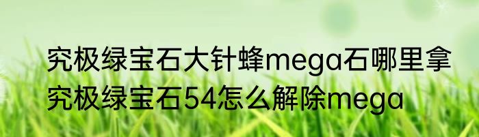 究极绿宝石大针蜂mega石哪里拿　究极绿宝石54怎么解除mega