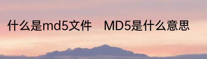 什么是md5文件　MD5是什么意思