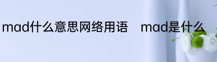 mad什么意思网络用语　mad是什么