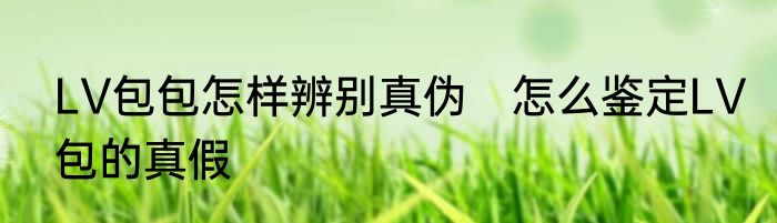 LV包包怎样辨别真伪　怎么鉴定LV包的真假